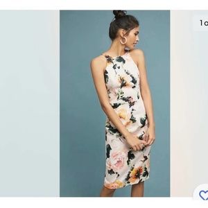 Black Halo Floral Dress